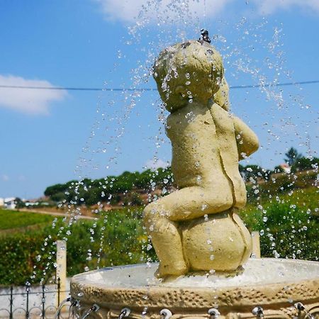 Granja Mg Apartment Bombarral Ngoại thất bức ảnh